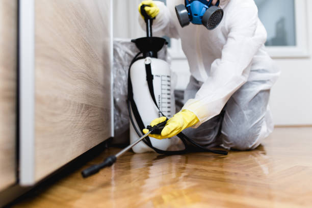 Best Termite Control Services  in Gibbon, NE