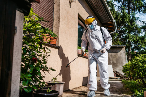Trusted Gibbon, NE Pest Control Experts