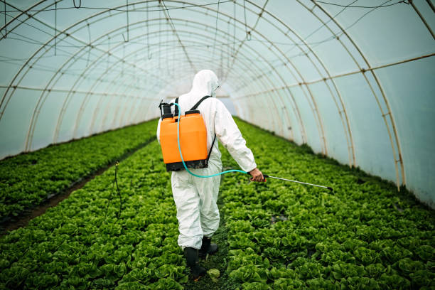 Best Best Pest Control Companies  in Gibbon, NE
