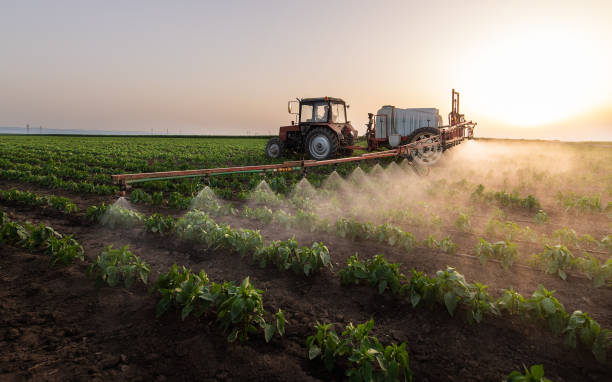 Pest Control for Restaurants in Gibbon, NE