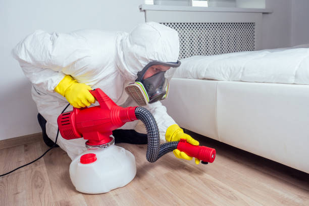 Best Pest Inspection Near Me  in Gibbon, NE