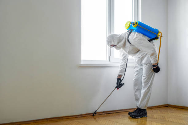 Best Mosquito Control Services  in Gibbon, NE
