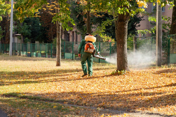 Best Affordable Pest Control Services  in Gibbon, NE