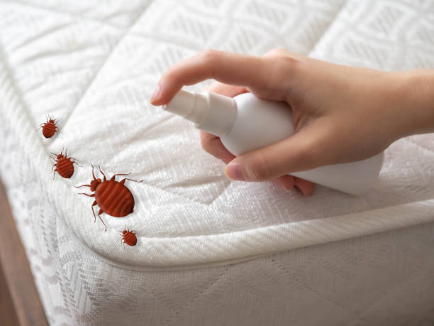 Best Pest Prevention Services  in Gibbon, NE