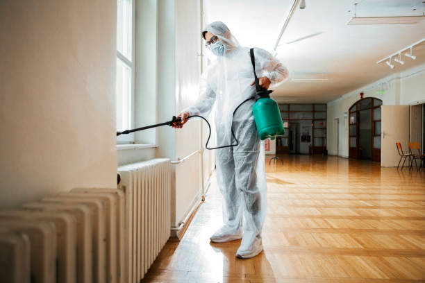 Best Pest Control for Restaurants  in Gibbon, NE