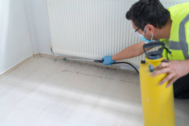 Best Pest Removal Services  in Gibbon, NE
