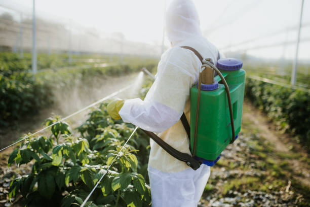 Best Emergency Pest Control  in Gibbon, NE